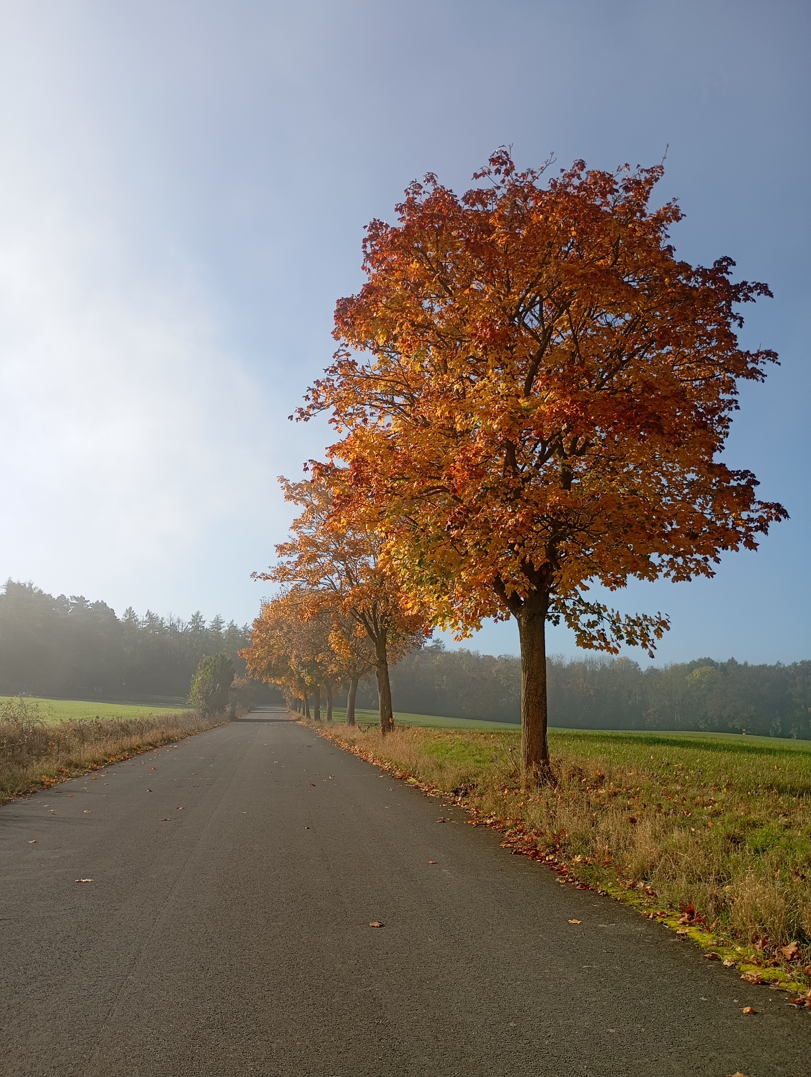 Herbst